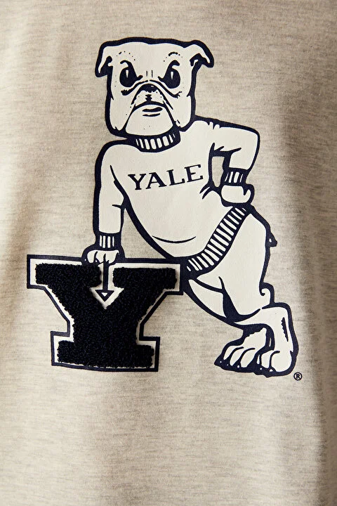 Yale gornji dio